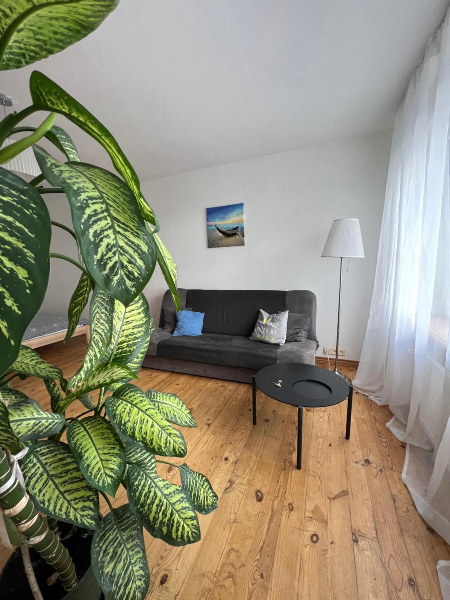 Amazing View Apartment Елгава Экстерьер фото